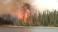 Природные пожары