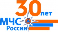 МЧС России в 2020 году исполняется 30 лет