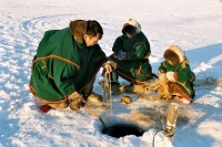 Информация для коренных малочисленных народов Севера при осуществлении традиционного рыболовства в зимний период времени года